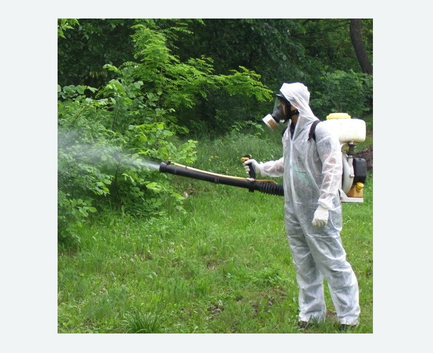 обработка территории от клещей в Кологриве