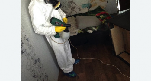 Обработка квартир от насекомых в Кологриве