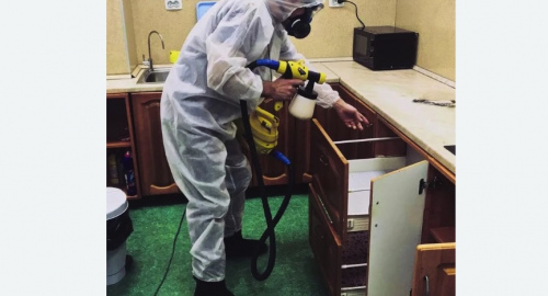 Дезинсекция квартиры. Кологрив