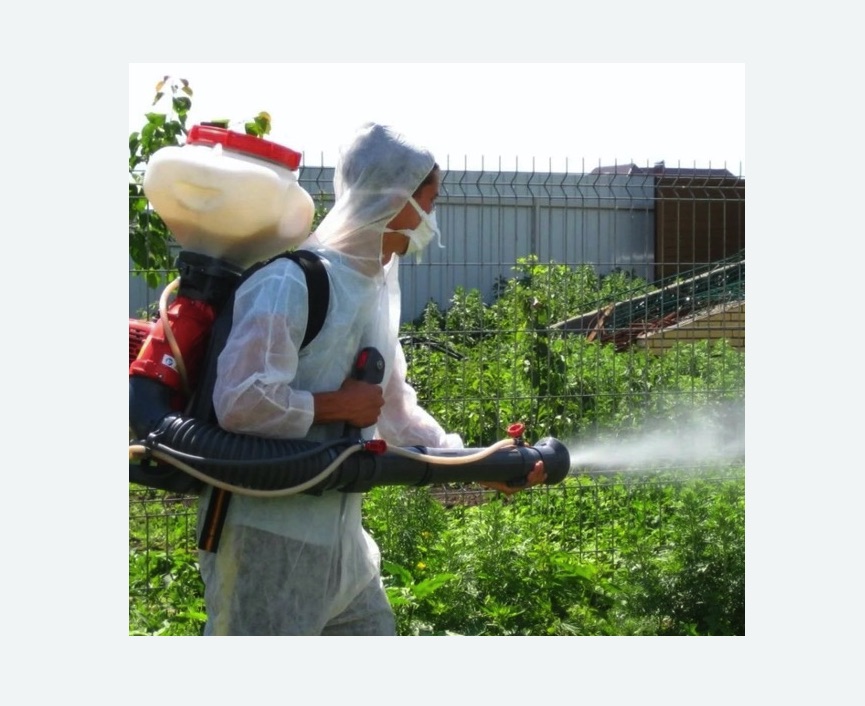 Акарицидная обработка территории в Кологриве