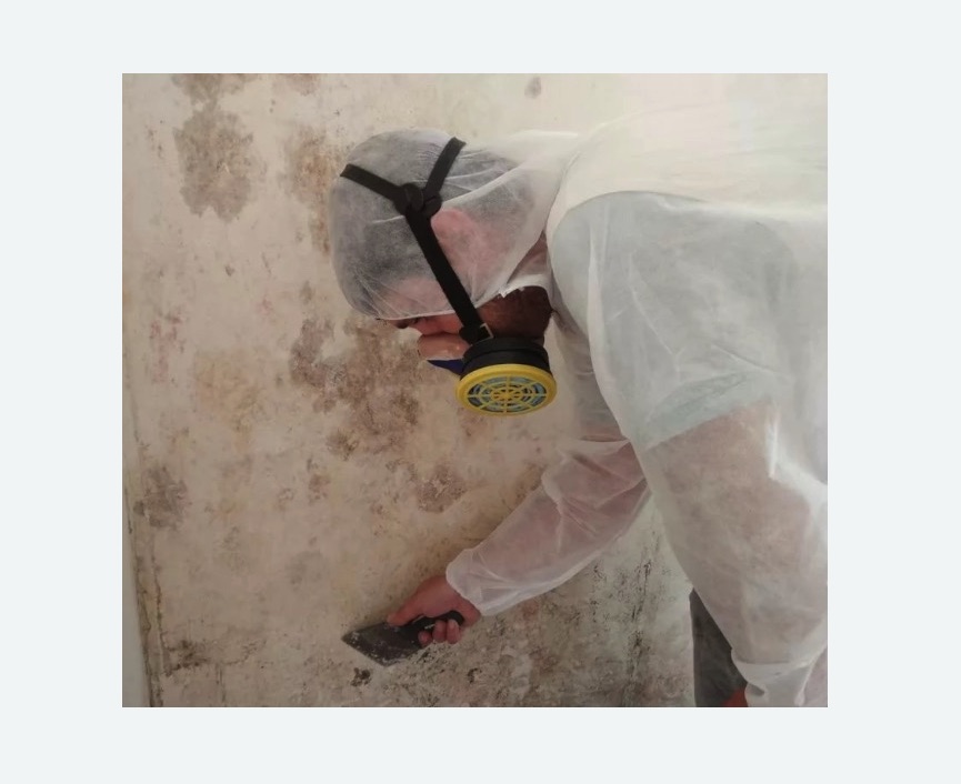Обработка стен от плесени в Кологриве