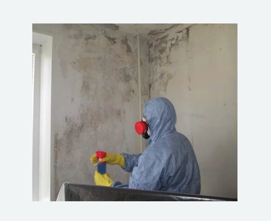 Удаление плесени в квартире в Кологриве