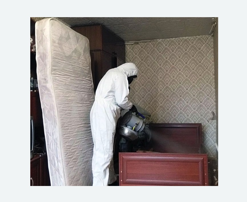 дезинфекция от клопов дезинфекция от клопов в Кологриве