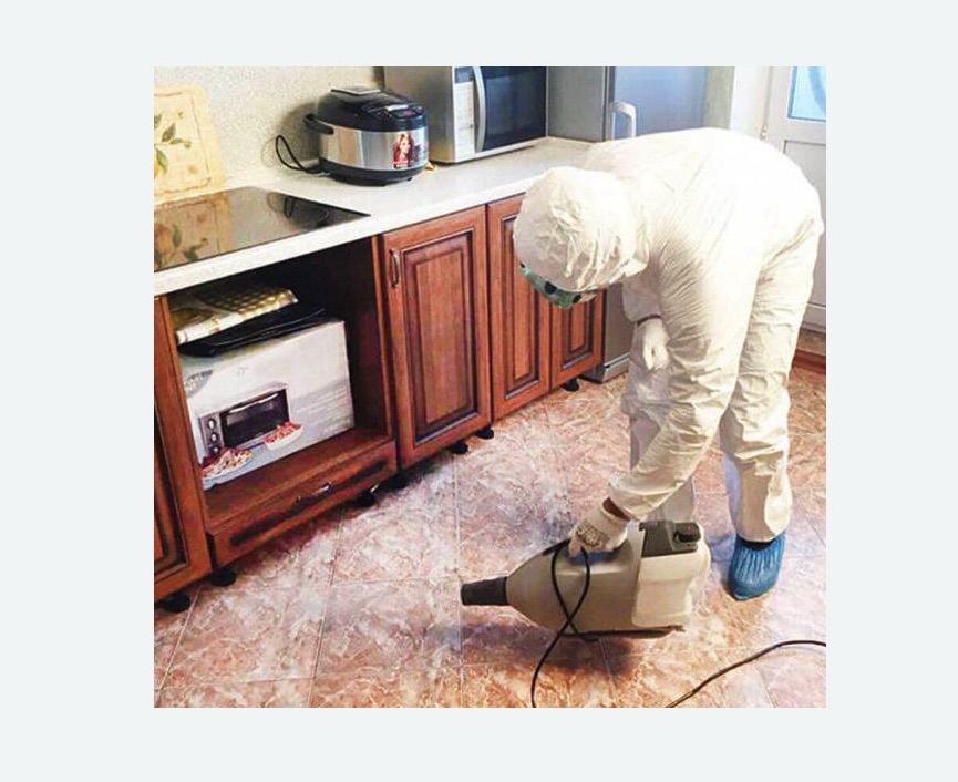 обработка квартиры от клопов в Кологриве обработка квартиры от клопов