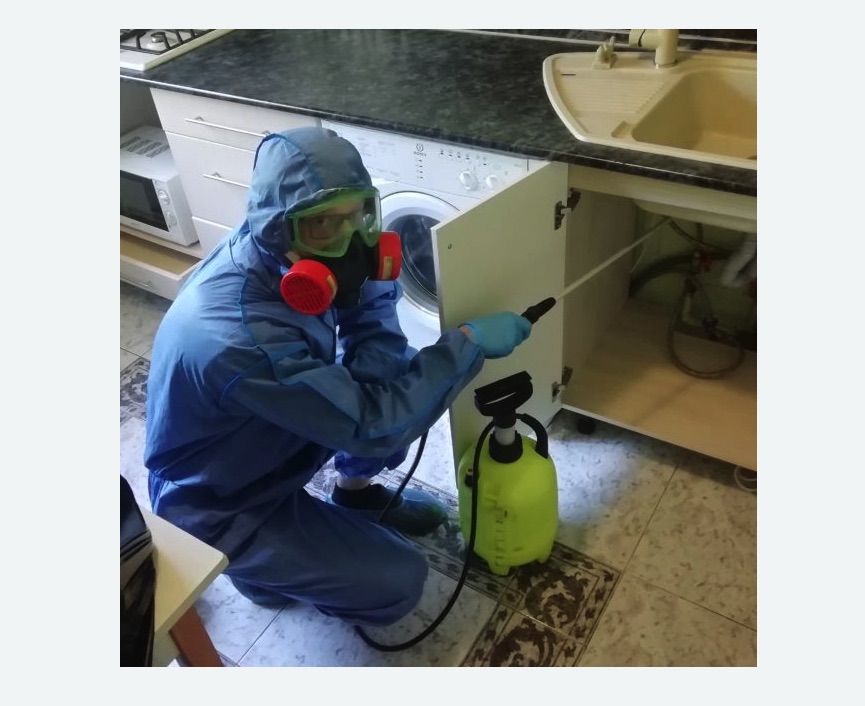 обработка от муравьев в квартире в Кологриве