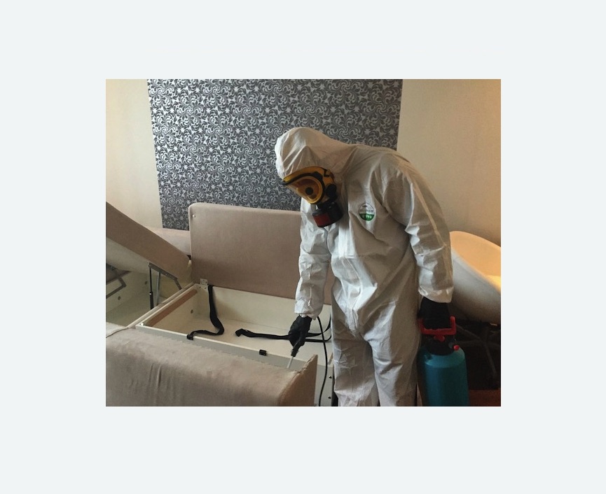 уничтожение клопов в квартире уничтожение клопов в квартире в Кологриве