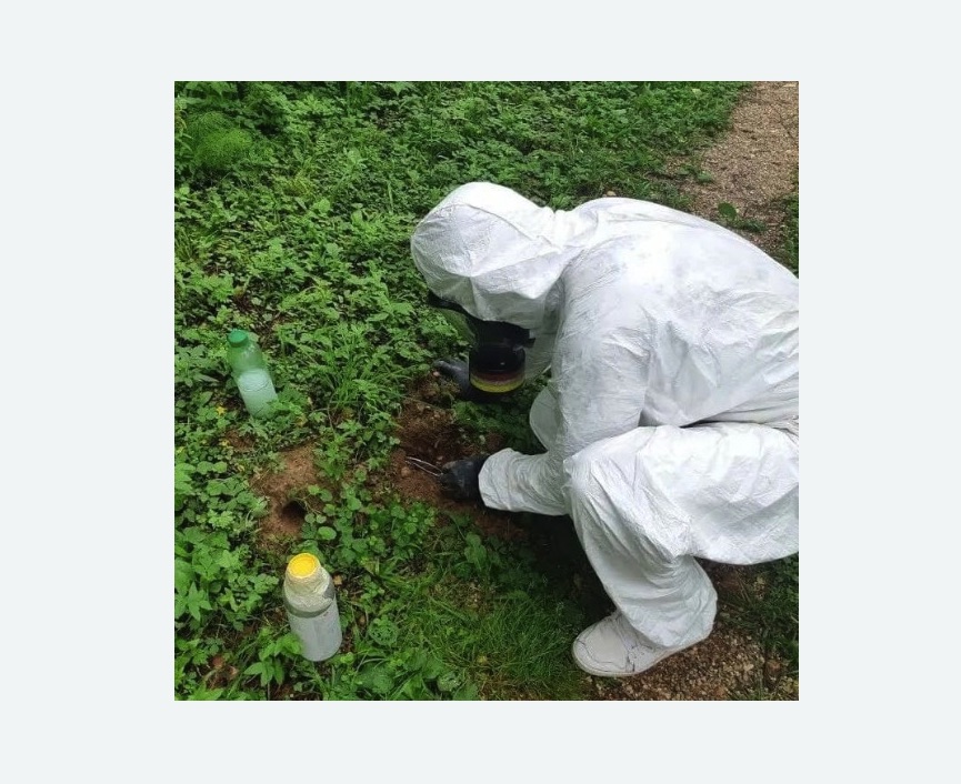 уничтожение кротов на участке в Кологриве