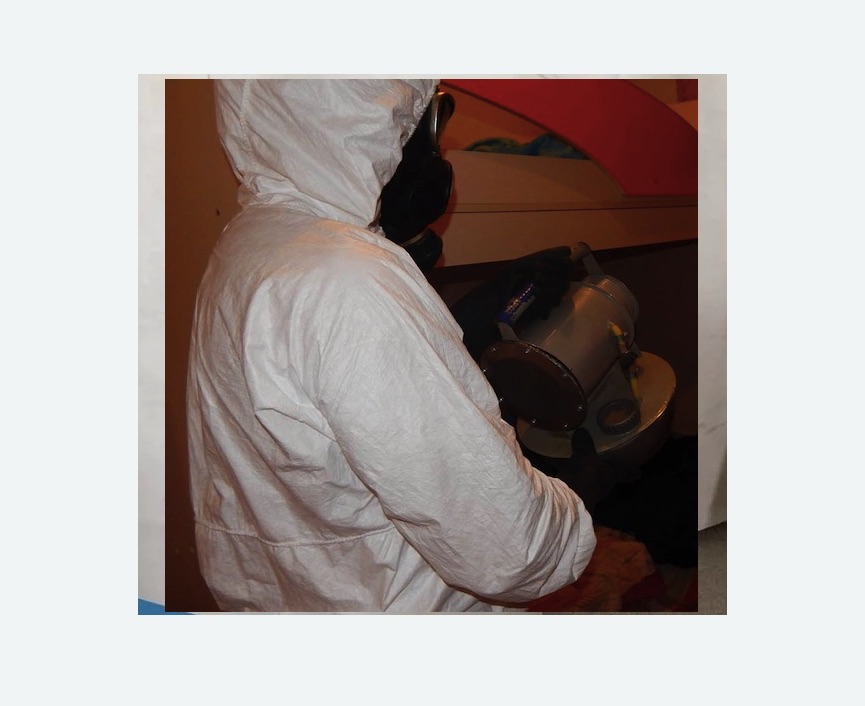 Дезинфекция от муравьев в Кологриве