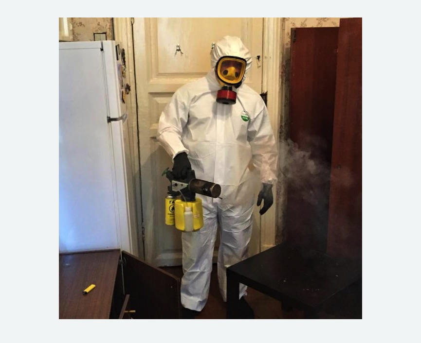 уничтожение муравьев в квартире в Кологриве